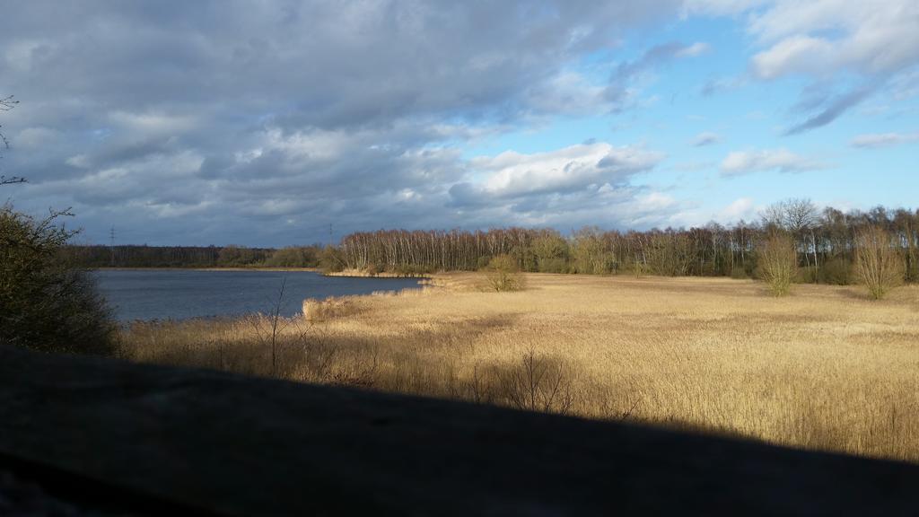 Aux Charmes De La Campagne Villa Hautrage Buitenkant foto
